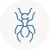 Ant Removals In Hyde
