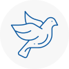 Bird Prevention Hyde