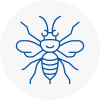 Hyde Hornet Nest Removals