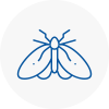 Moth Control Specialists In Hyde