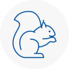 Hyde Rodent Removals